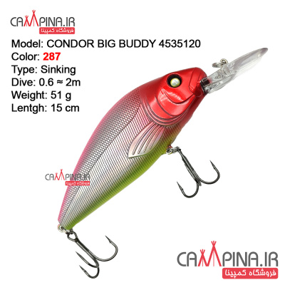 condor-bigbuddy-287-11