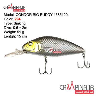 condor-bigbuddy