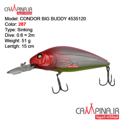 condor-bigbuddy_1924201879
