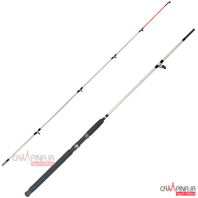 crocodil270-01