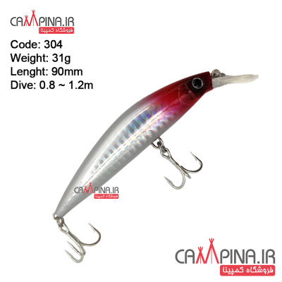 minnow-304-2