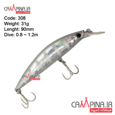 minnow-308-4