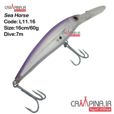 sea-horse-trolling-l11 16-1