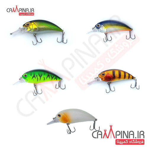 colors-1 1049135979