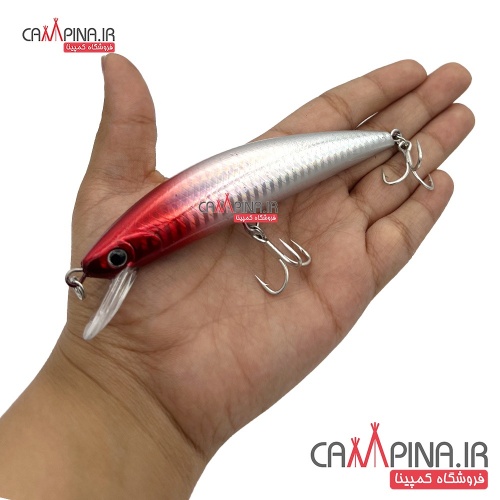 lure-minnow-104-4