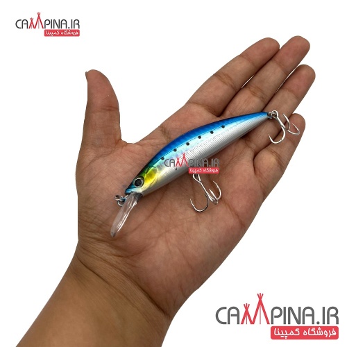 lure-minnow-202-3