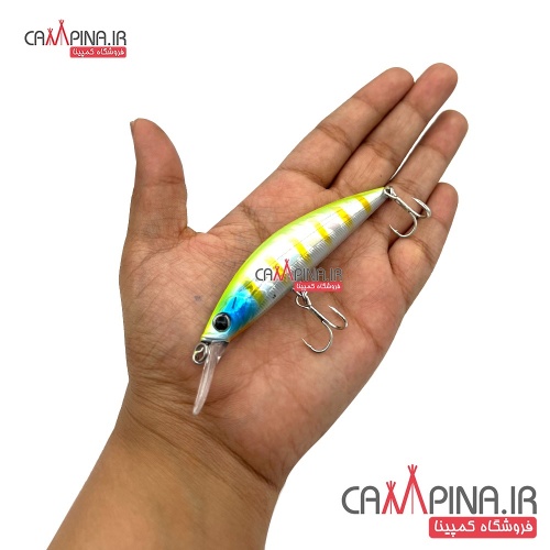 lure-minnow-203-3