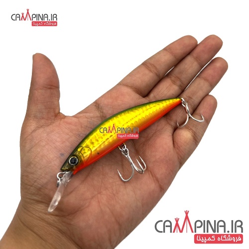 lure-minnow-206-4