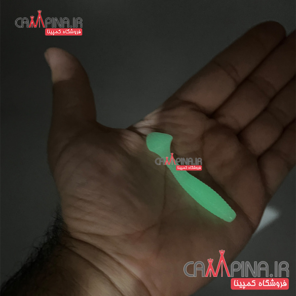 bechehmanpanimasnoei-fishing-luressoft-lures-cmp-4