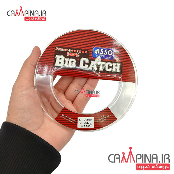 braid-big-catch-20_2002880413