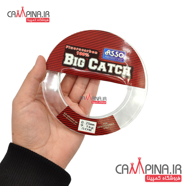 braid-big-catch-25-1_1603326535