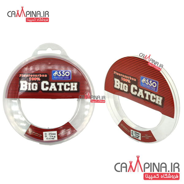 braid-big-catch-25_213055492