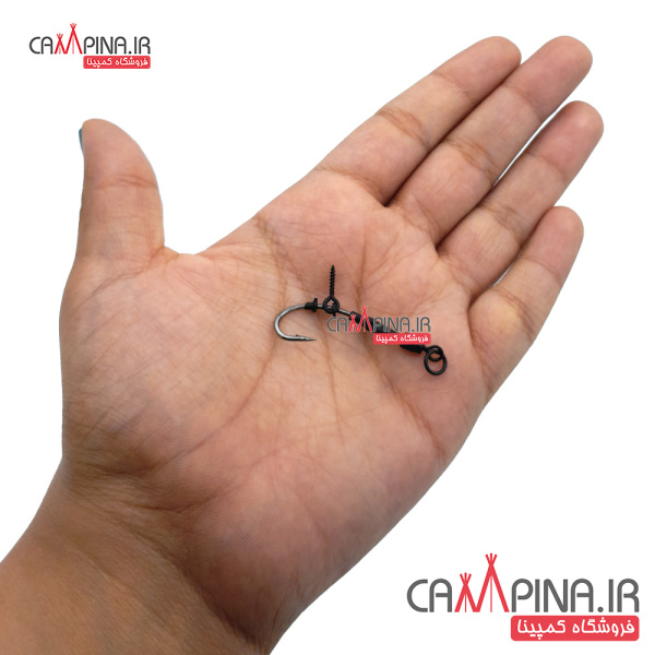 carp-line-hook-3 867828917