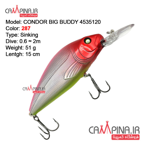 condor-bigbuddy-287-11