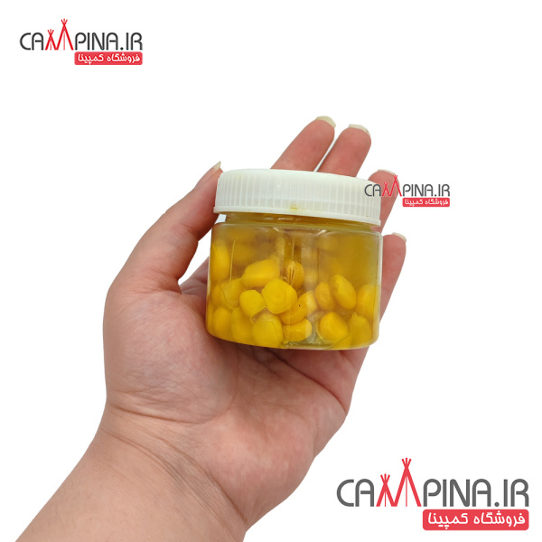 corn-3_1242319101