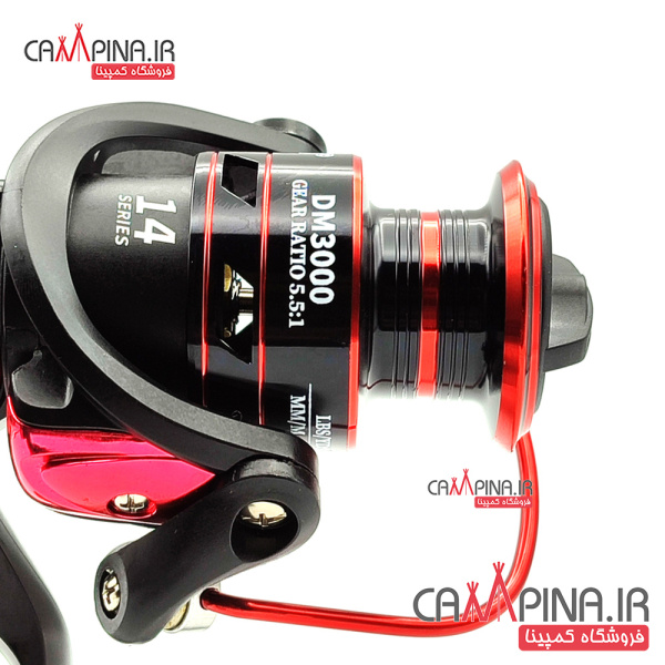 dm-3000-6