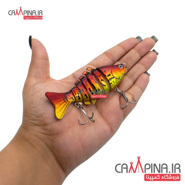 fishing-7-pices-bait-rainbow-4 1754091226