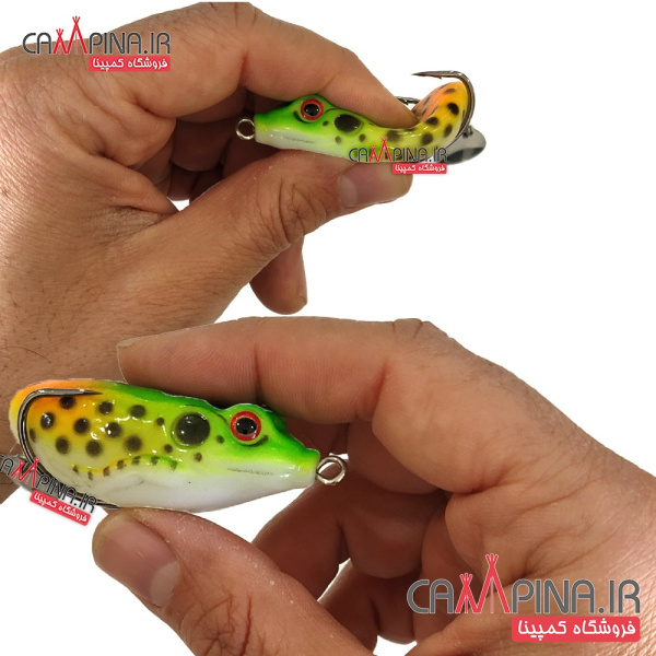 frog-fishing-5pic2-25