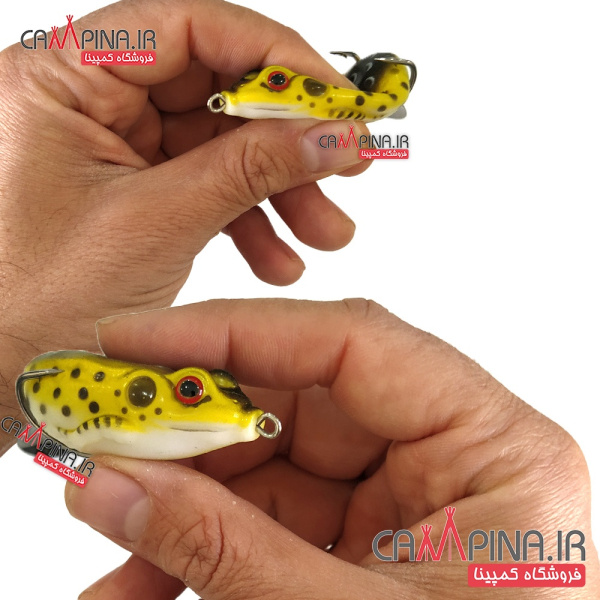 frog-fishing-5pic2-26
