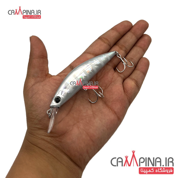 lure-minnow-204-4