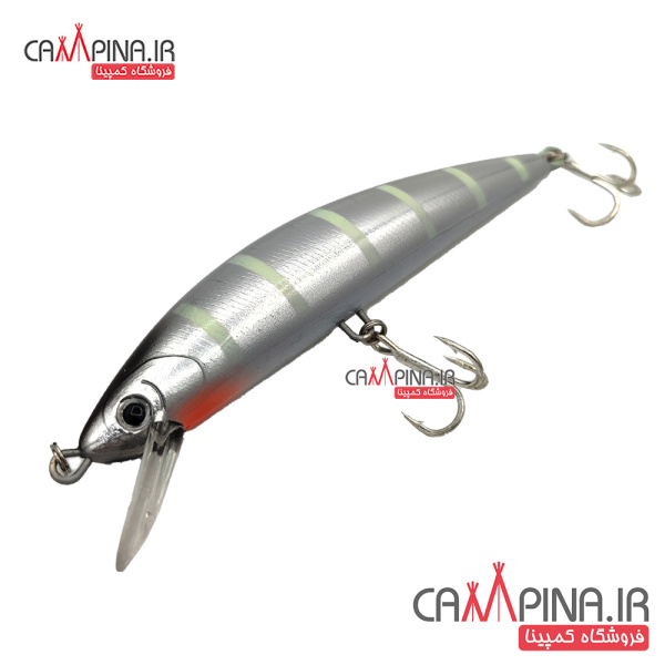 minnow-108-5