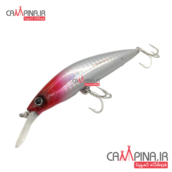 minnow-304-1