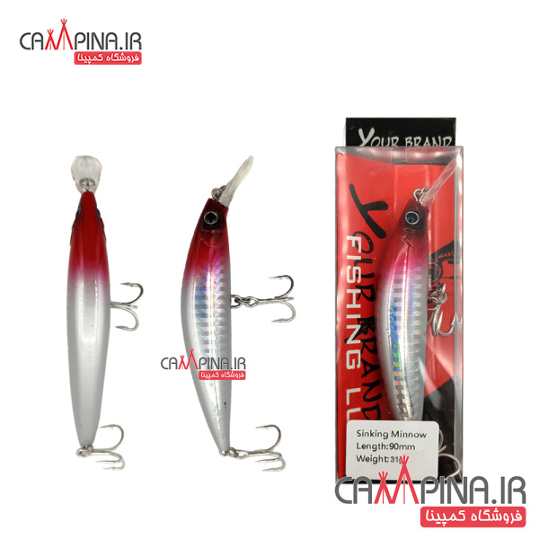 minnow-304-3
