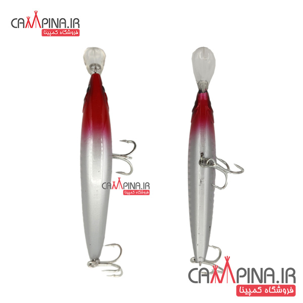 minnow-304-4