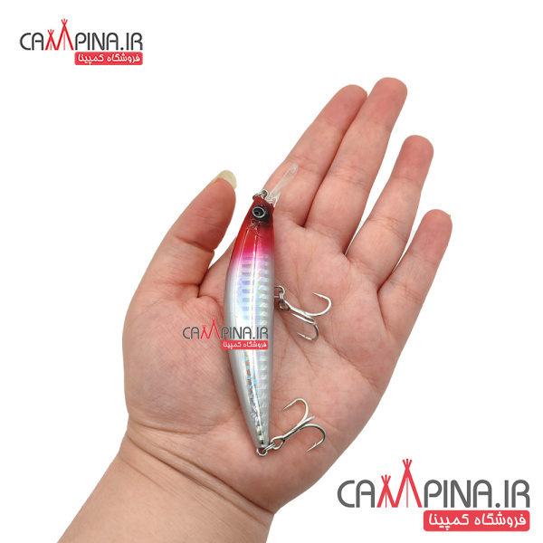 minnow-304-5