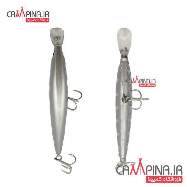 minnow-308-1