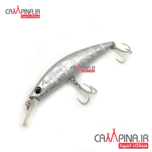 minnow-308-5
