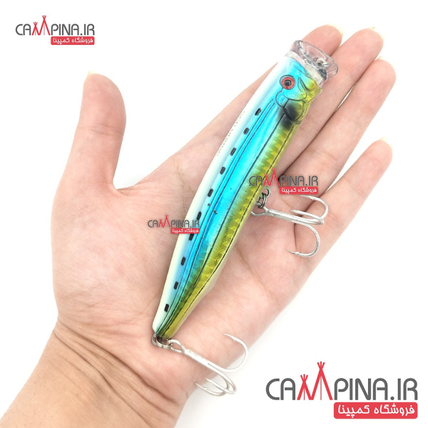 popper-sea-horse cl 04 -2