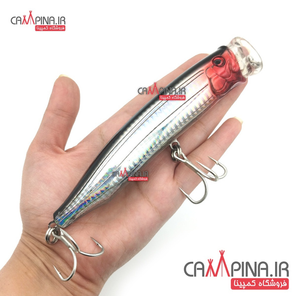 popper-sea-horse l01-3