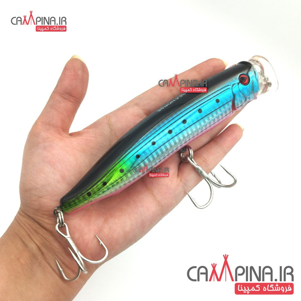 popper-sea-horse l05-3