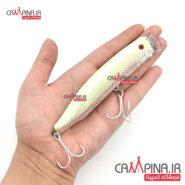 popper-sea-horse sn006-2